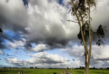 雷竞技：[足球之夜]中国U19男足国家队：在竞争与协作中前进.