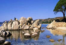 雷竞技：米体：国米与那不勒斯竞争佩莱格里尼，球员希望留在罗马证明自己.